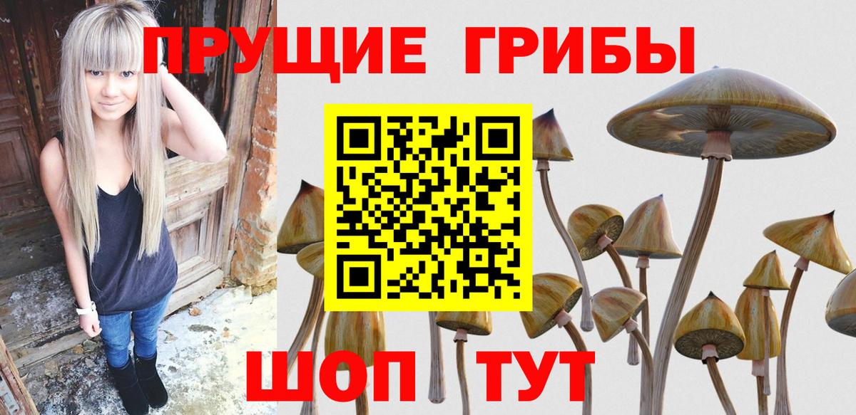 Лыткарино  Псилоцибиновые грибы Psilocybine cubensis  Вход с VPN  Галлюциногенные грибы GOLDEN TEACHER 
