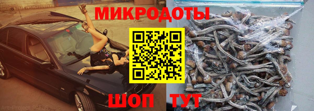 Псилоцибиновые грибы GOLDEN TEACHER Лыткарино